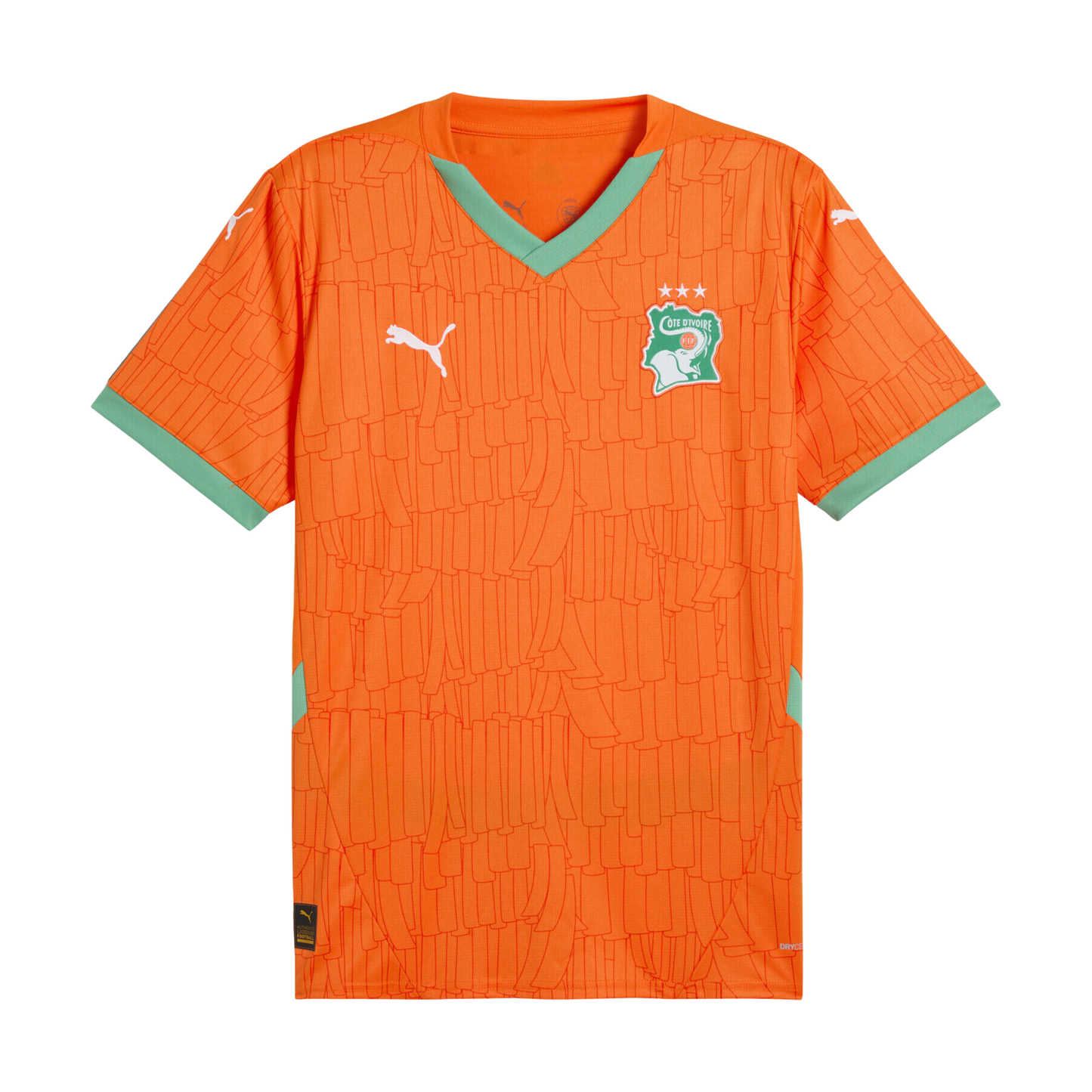 MAILLOT COTE D´IVOIRE 24/25 EXTÉRIEUR