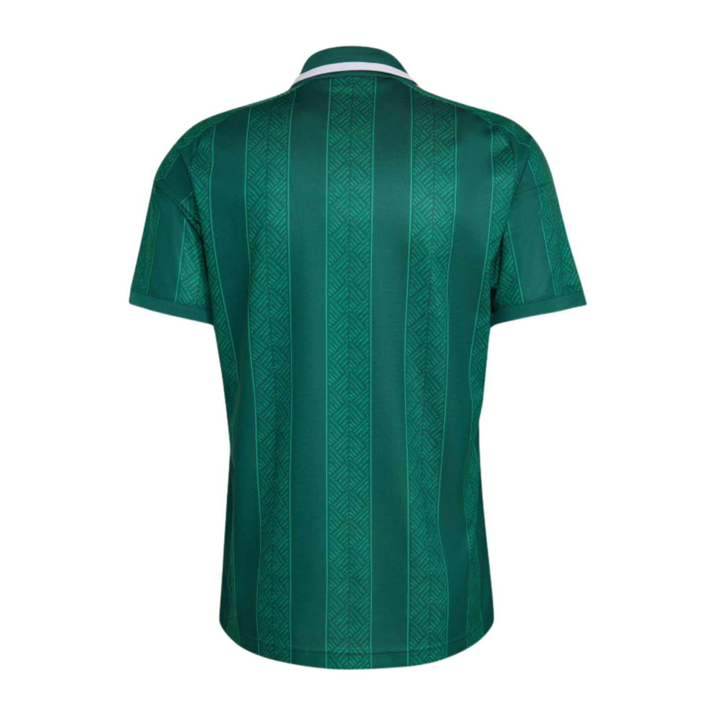 MAILLOT AFRIQUE DU SUD COUPE DU MONDE 2026 EXTÉRIEUR